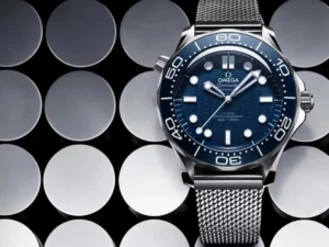 Omega Watch Seamaster